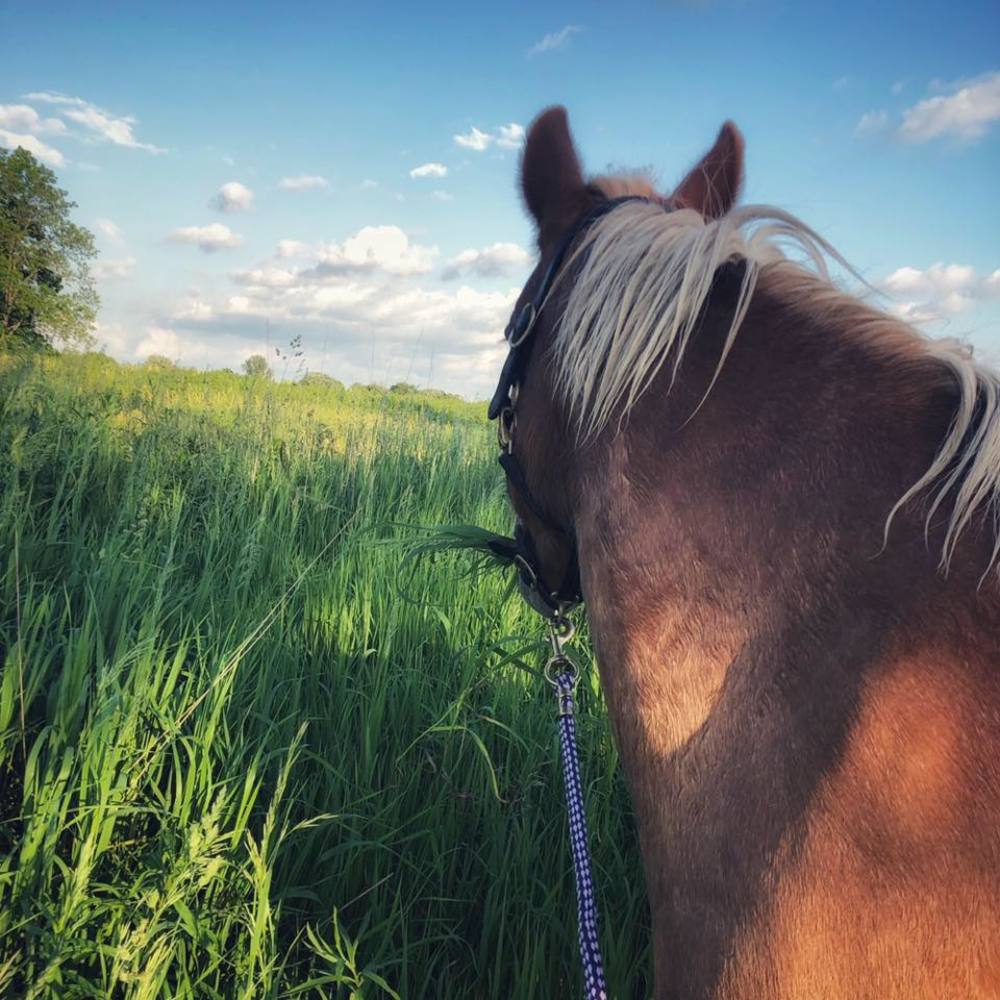 Meet your Posher, Jessica